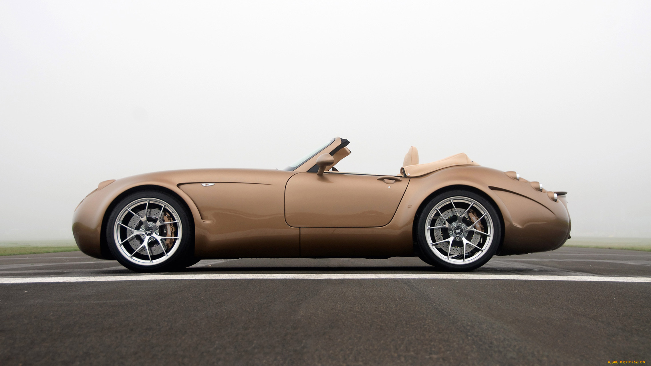 wiesmann roadster mf5 2011, , wiesmann, roadster, 2011, mf5